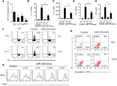 Mir-124 Attenuates STAT3-Mediated TH17 Differentiation in Colitis-Driven Colon Cancer